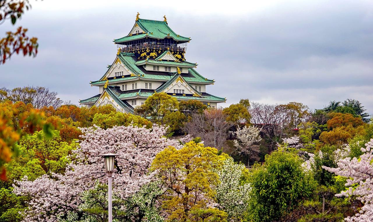 万宁追寻梦想的起点：为何选择高考后去日本留学？